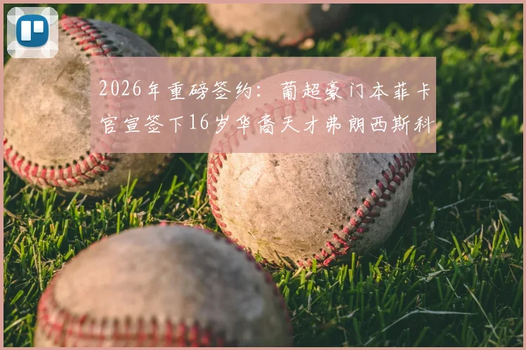 2026年重磅签约：葡超豪门本菲卡官宣签下16岁华裔天才弗朗西斯科·王，深度解析其背景与未来